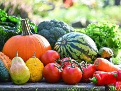 重金屬檢測(cè)儀掌握重金屬污染的分布情況