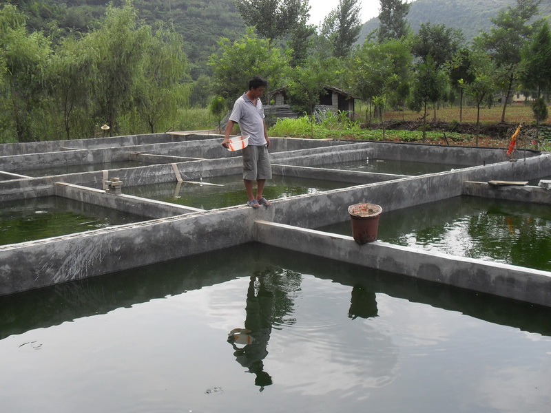 水中硫化氫檢測儀，可以為水產養殖做什么